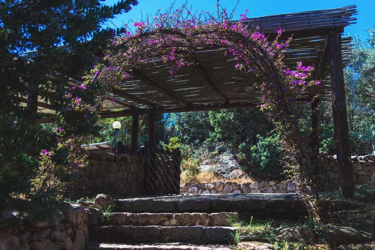 Domus Liscia Di Vacca Apart otel Dış mekan fotoğraf